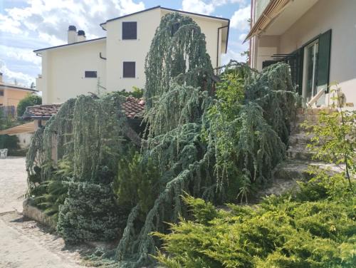 COUNTRY HOUSE ViLLA GIGINA