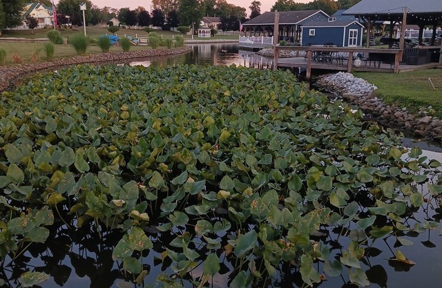 Cozy 2-bedroom RV in tranquil at buckeye lake with AC, WiFi
