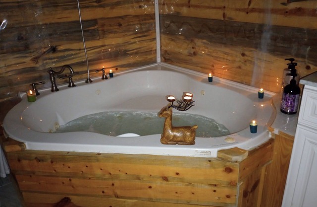Cozy 2 BR Cottage with fast wifi, large Jacuzzi tub/shower & starry night skys