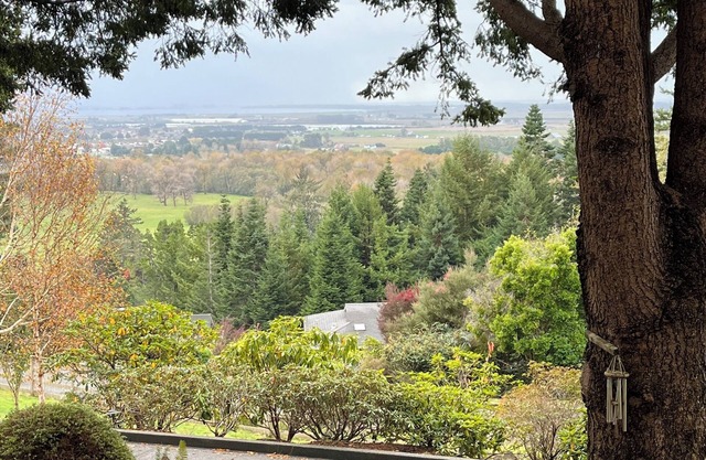 Cozy 25 ' Airstream not far from Arcata with privacy and an amazing view