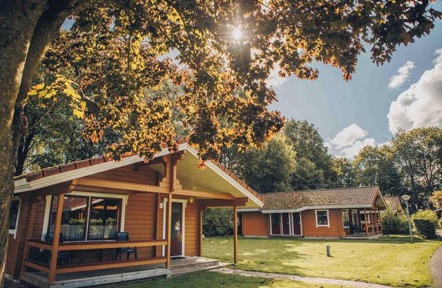 Cozy 4-person bungalow with dishwasher, washing machine and veranda at park ’t Hooge Holt, near Gramsbergen and the Vechtdal nature area.