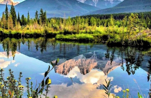 Cozy and Private Suite just 20 minutes from Banff!