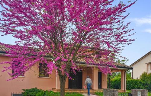 Cozy Apartment In San Pietro Di Feletto