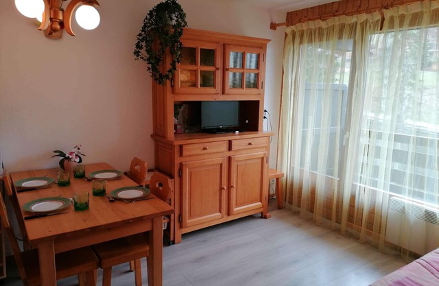 Cozy apt for 5, 300m to slopes, parking, pets allowed