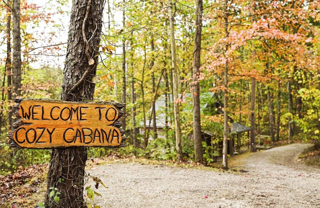 Cozy Cabana is secluded yet close to local attractions