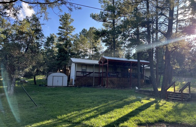 Cozy cabin in a peaceful place