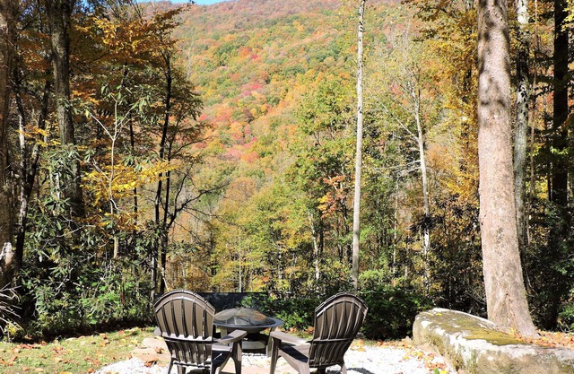 Cozy cabin, mountain view & Wi-fi, Leavers available Oct 13-16