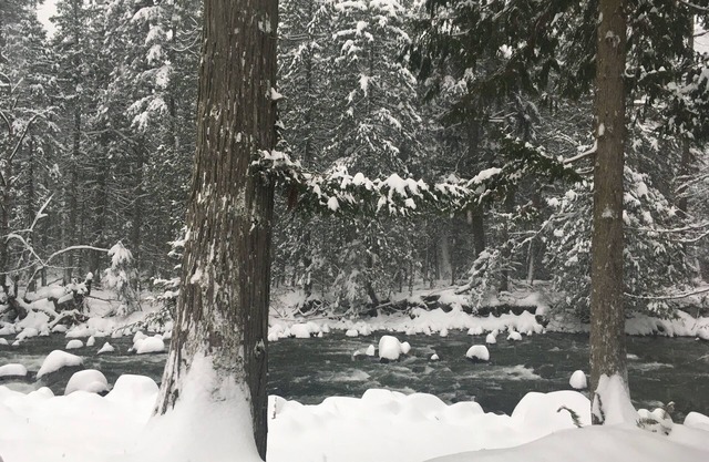 Cozy Cabin on Silver Hope Creek