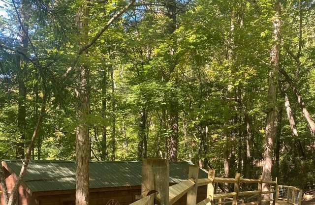 Cozy Cabin private retreat, screened in porch, nice deck and firepit