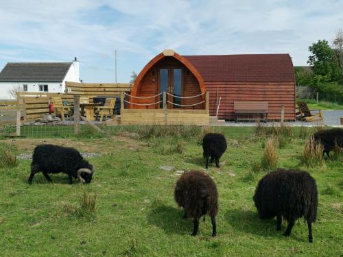 Cozy Cabin Retreat in Halkirk