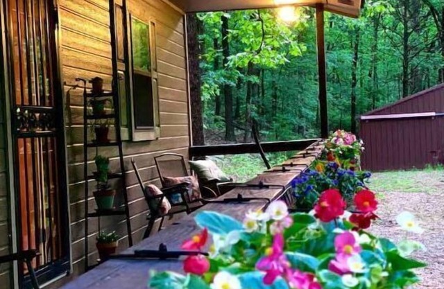 Cozy Cabin Surrounded by Beautiful Woods