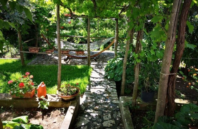 Cozy cottage surrounded by a typical Capri garden. 10 min from the Blue Grotto.