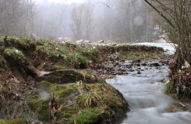 Cozy Creekside Cottage with Skiing & Hiking Nearby