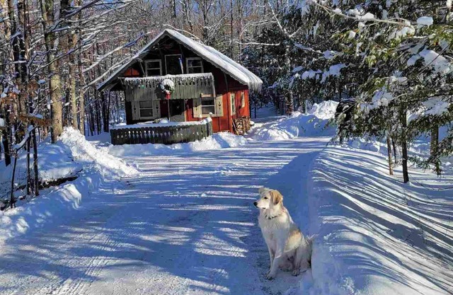 Cozy creekside cabin near Big Powderhorn's Lift #1 & Recreational Trail #2!