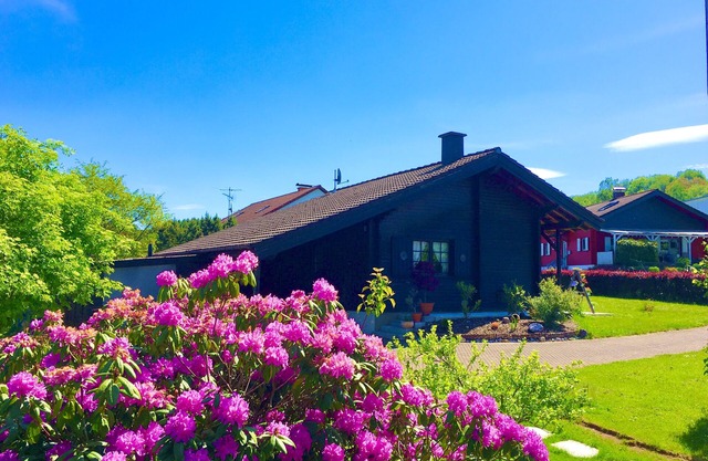 Cozy, detached wooden house in a quiet location on the Peterberg.