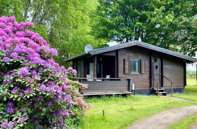 Cozy holiday home on a horse farm in the Lüneburg Heath