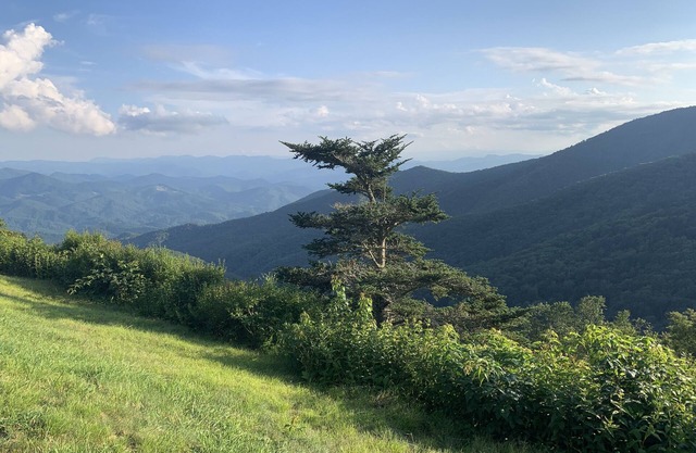Cozy Mountain Cottage near Downtown