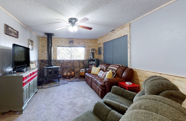 Cozy mountain-view cabin with fireplace, washer/dryer, and WiFi - dogs OK