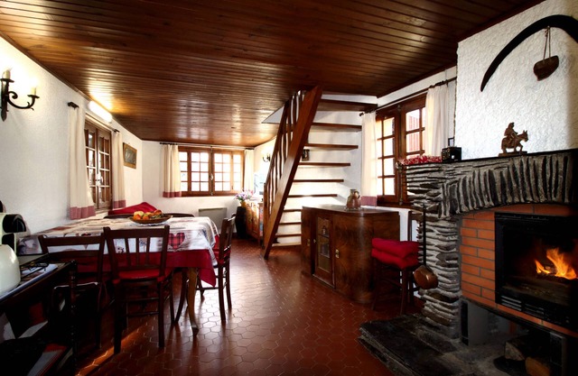 Cozy mountain village house