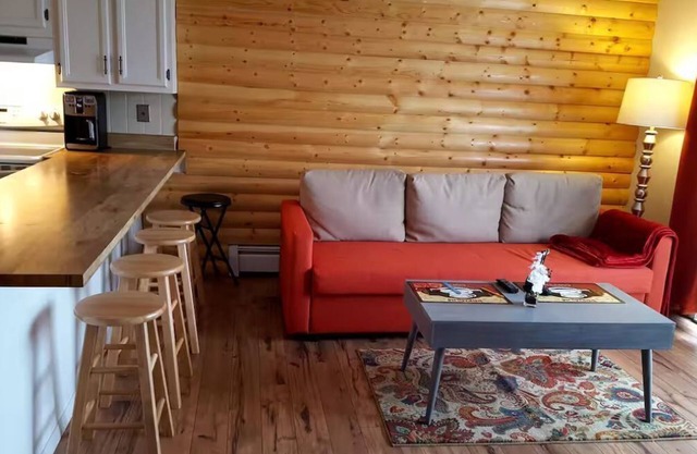 Cozy mtn condo w/hot tub/pool. Close to major ski resorts; Dillon amphitheater