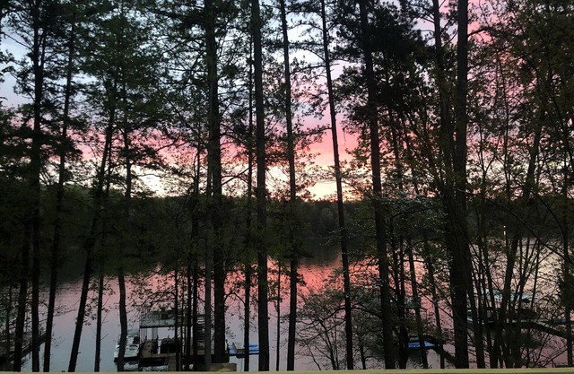 Cozy Pet Friendly Cottage, 2 story Deep Water Dock - bring your boat!