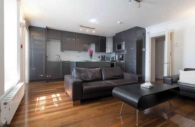 Cozy quiet stylish apartment in central London near Trafalgar Square