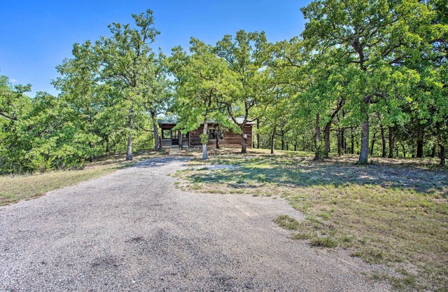 Cozy, Secluded Davis Cabin on 60 Wooded Acres