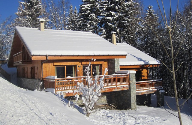 Cozy, Spacious Chalet with Sauna and Fireplace