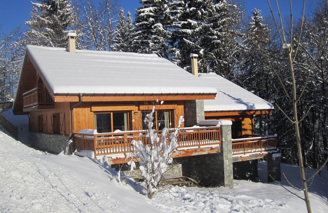 Cozy, Spacious Chalet with Sauna and Fireplace