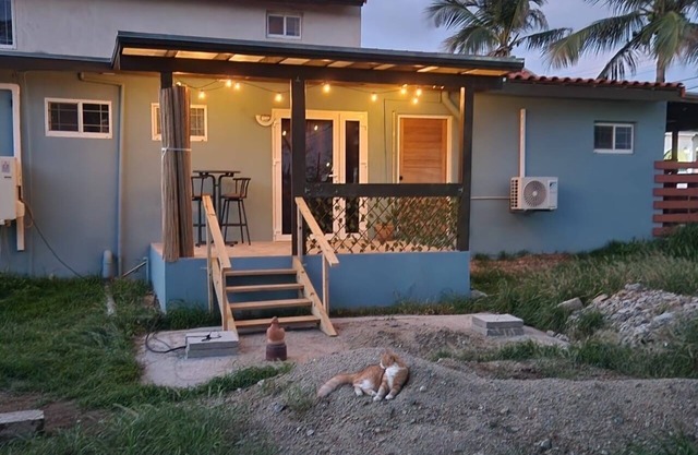 Cozy Studio for a True Aruba Stay