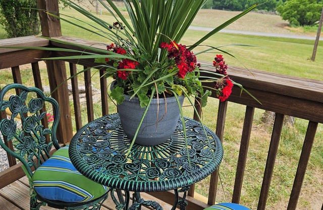 Cozy Tiny House - Stunning Views in Rural Western MD, with Wifi and AC