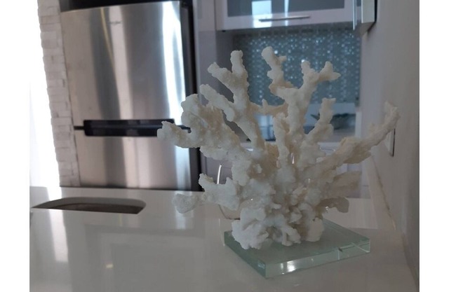 Cozy Waking Distance to the Beach