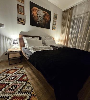 Czarny Słoń - elegancki apartament z klimatem