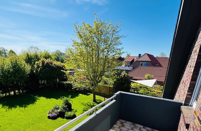 Dünenrose, Deutschland