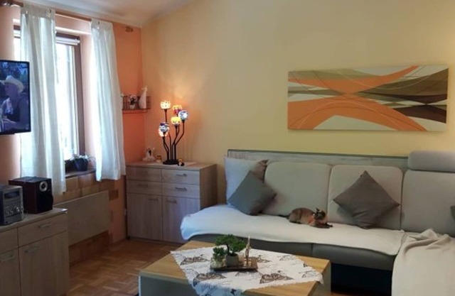 FPF-05 - Vacation park in beautiful Falkenstein (1)