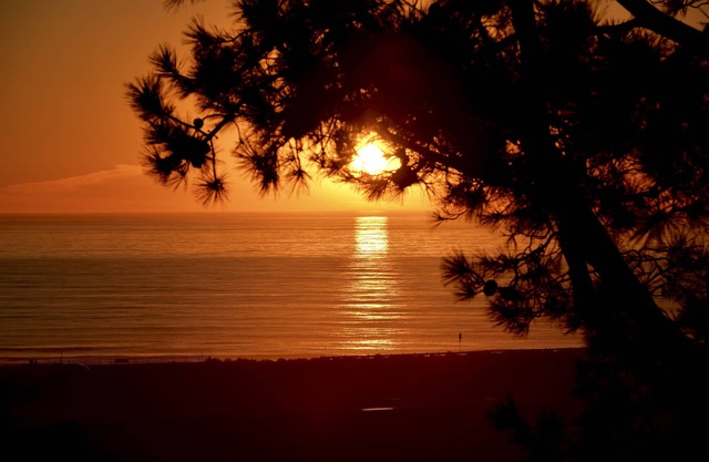 Del Mar Beach Getaway - Truly Outstanding