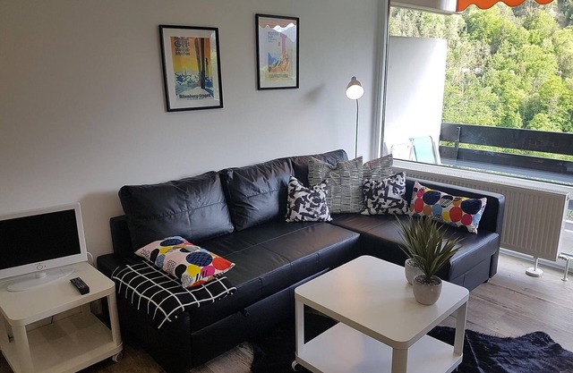 Deluxe apartment for 3 people