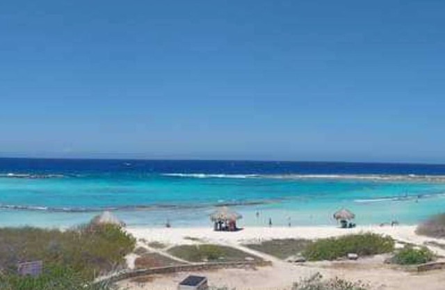 Deluxe Studio in Aruban