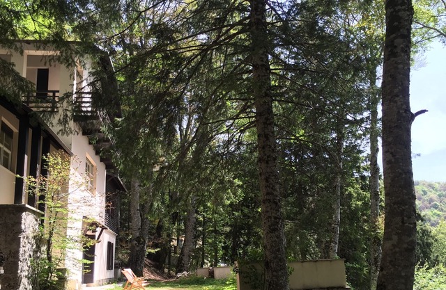 Depandance of a historic villa set in a secular beech park