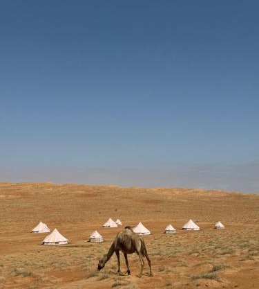 Desert Diamond Private Camp