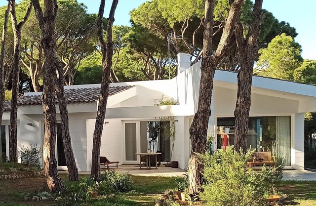 Design and light among the pines