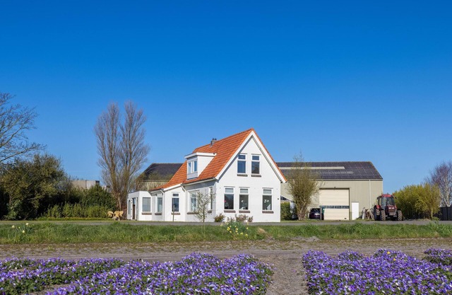 Detached family home with a tulips fields view
