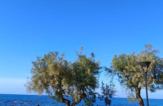 Detached house 20 meters from the sea