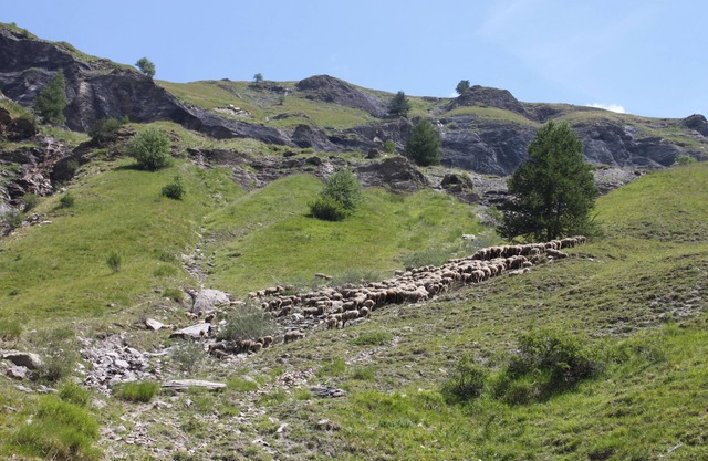 Detached house ideally located