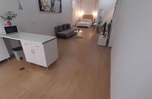Diaphanous loft, 5 minutes from Malaga bus station