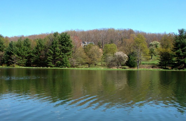 Do Friendly Retreat w/Deck & Meadow Views
