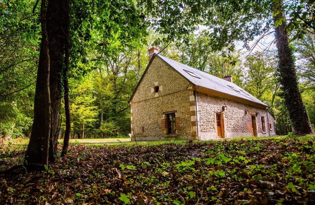 Domaine de Sérigny, 19th century, 60 hectares, three gites. Ideal for families and friends.