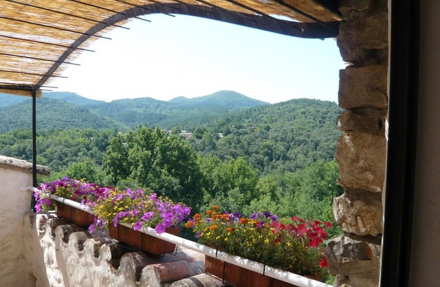 Domaine du Figuier in a former winery, nature park, family-friendly - Apartment 1