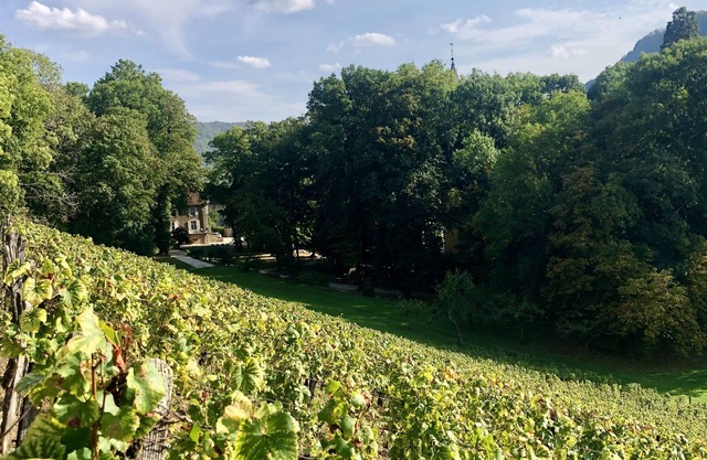 Domaine Guiet - Gîtes Chez Morgane & Thomas
