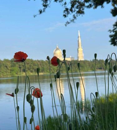 DOMKI Nad Jeziorami Niedźwiady